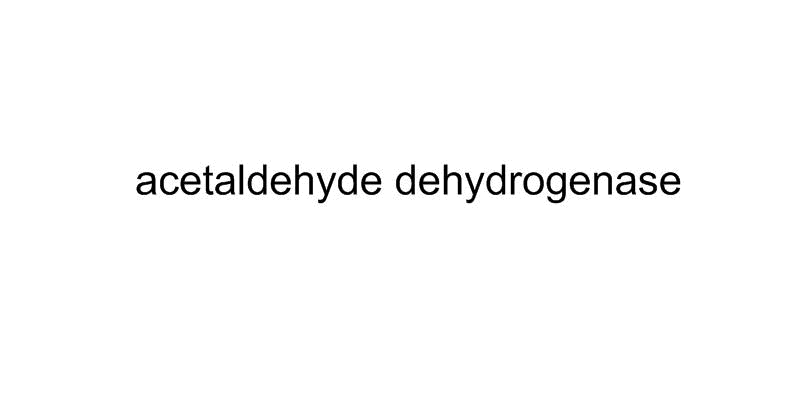 Acetaldehyde Dehydrogenase