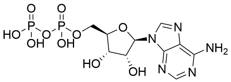 Adenosine 5'-diphosphate (5'-ADP)