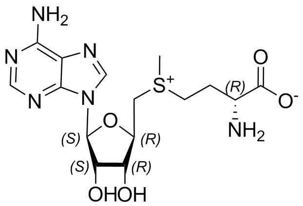Adenosine Impurity 61