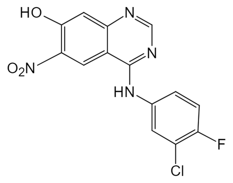 Afatinib Impurity 154