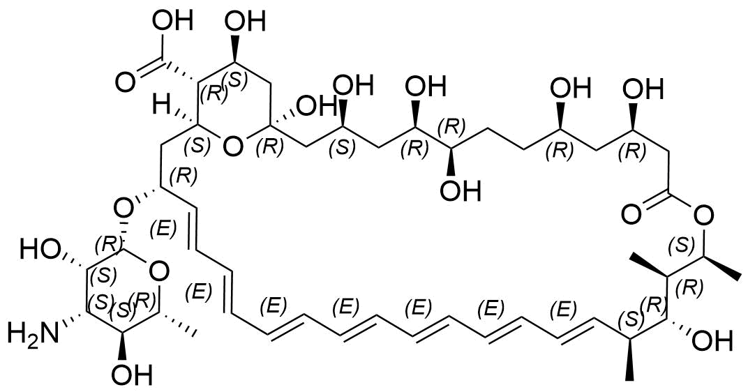 Amphotericin B
