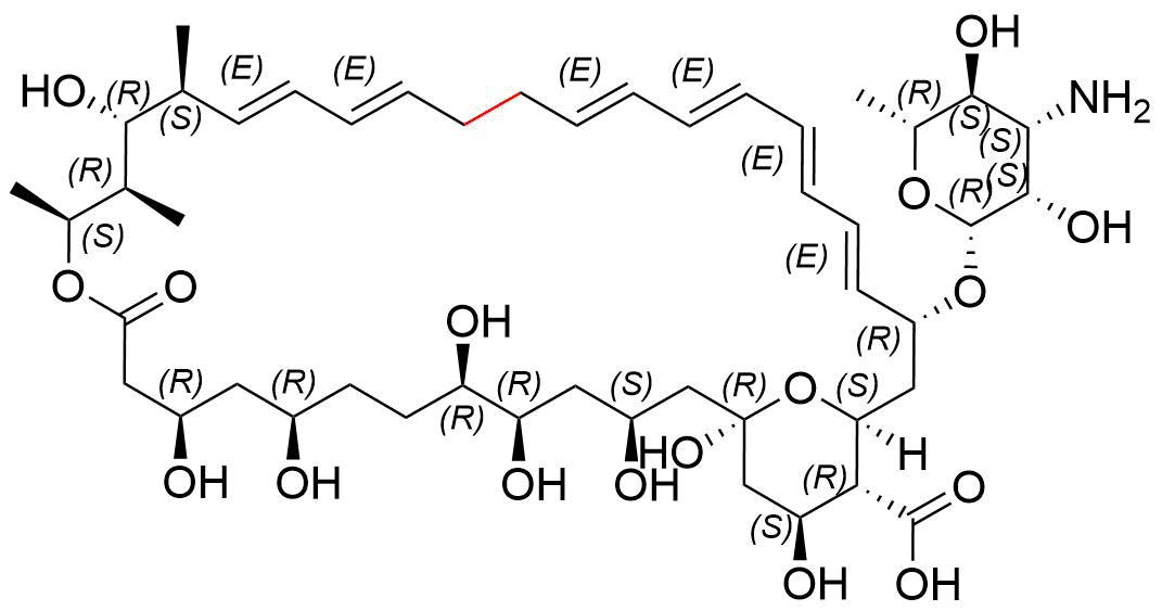 Amphotericin B EP Impurity A