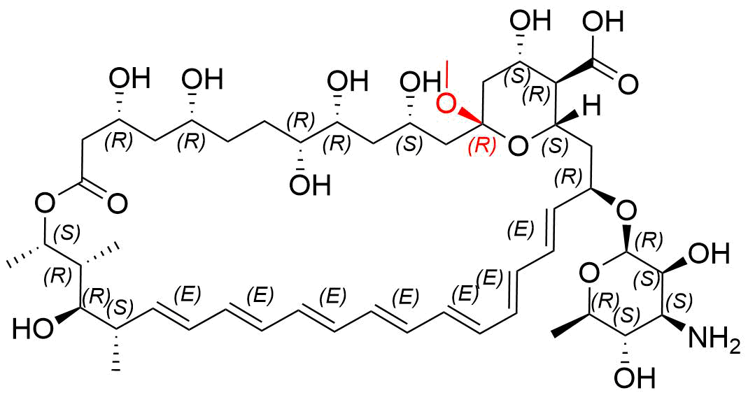 Amphotericin B EP Impurity B