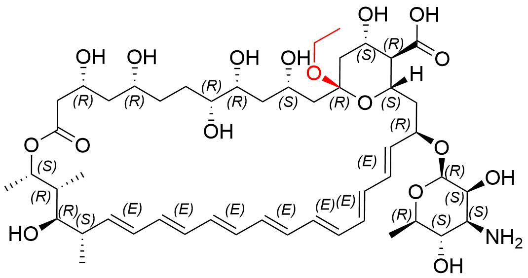 Amphotericin B EP Impurity C