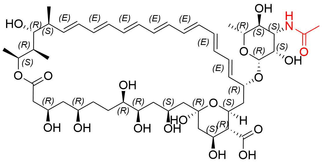 Amphotericin B Impurity 1
