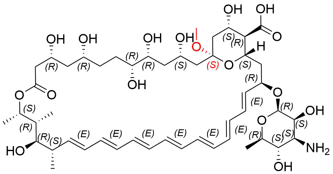 Amphotericin B Impurity D