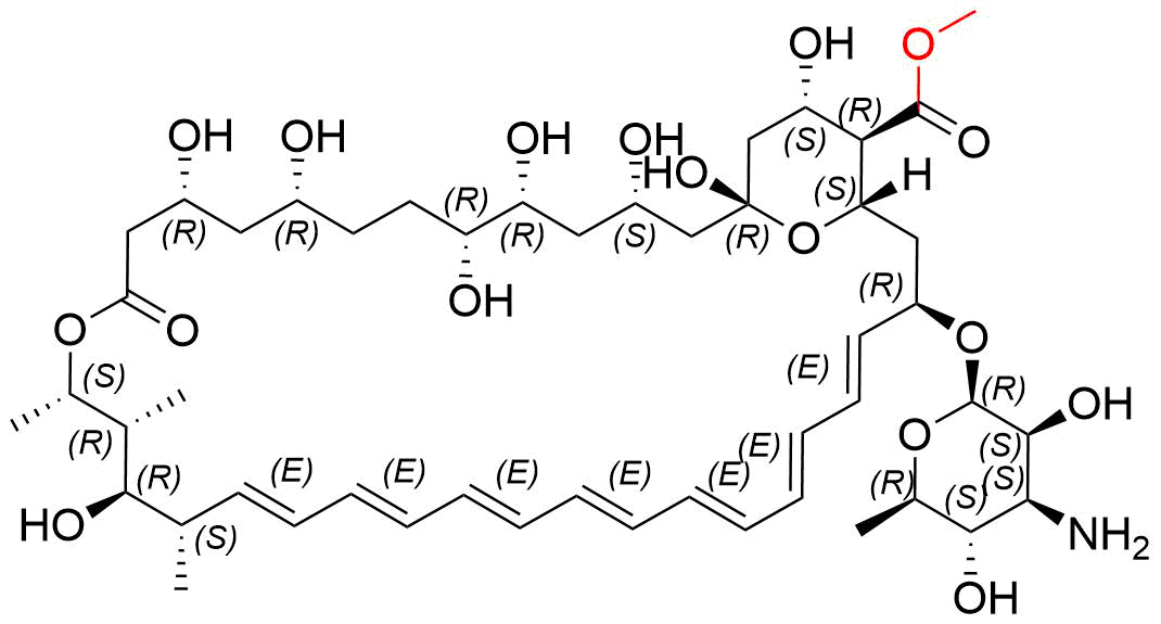Amphotericin B Methyl Ester