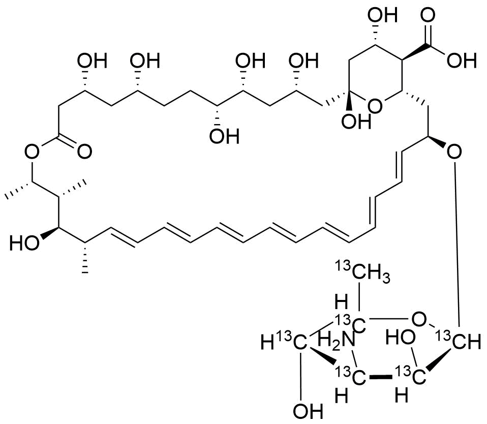 Amphotericin B-13C6