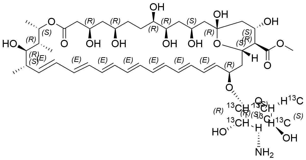 Amphotericin B-13C6 Methyl Ester
