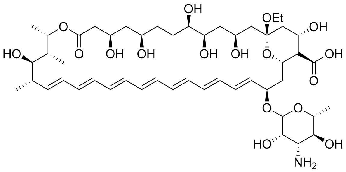 Amphotericin X2 (13-O-Ethyl Amphotericin B)