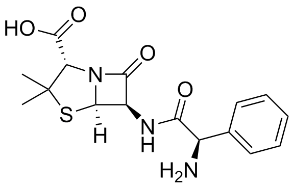 Ampicillin