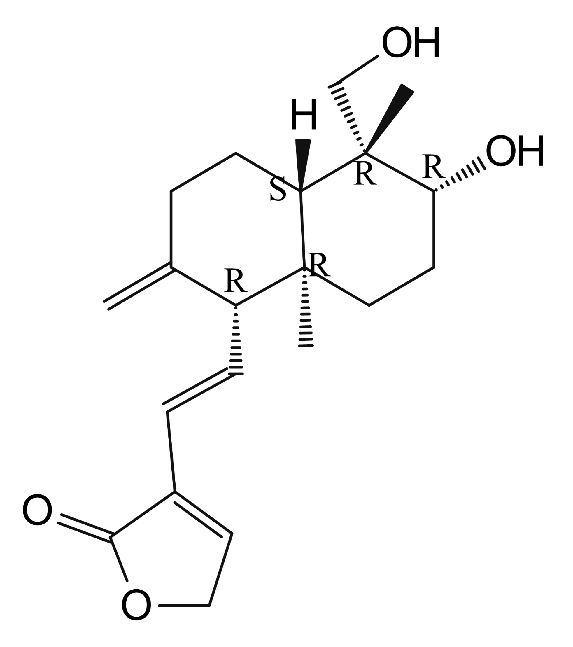 Andrographolide Impurity 8