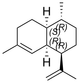 Amorphadiene