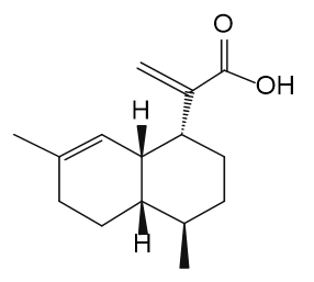 Artemisinic Acid