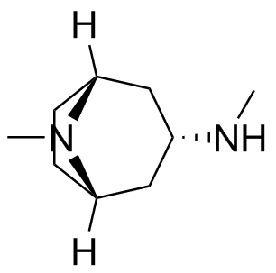 Atropine Impurity 12