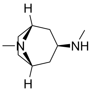 Atropine Impurity 13