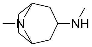 Atropine Impurity 15