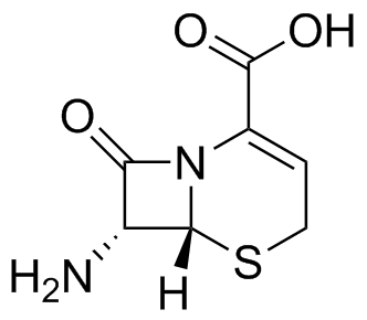 7-ANCA