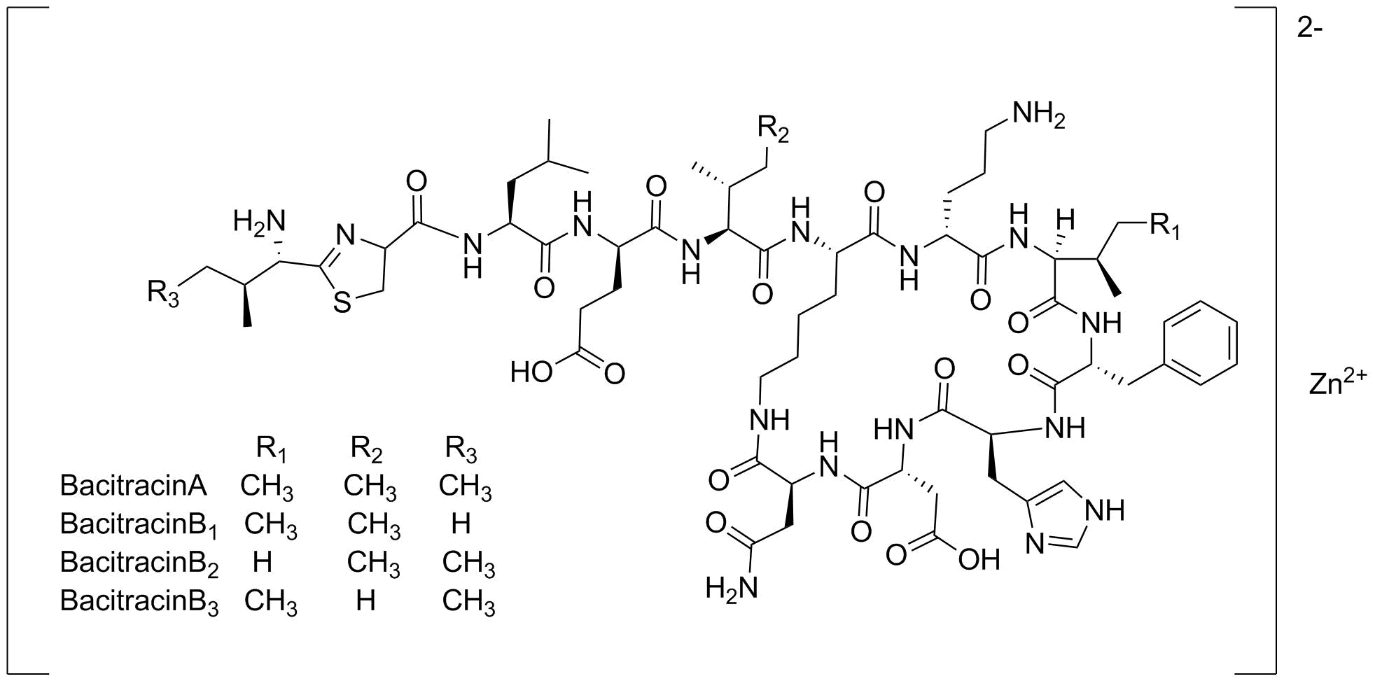 Bacitracin