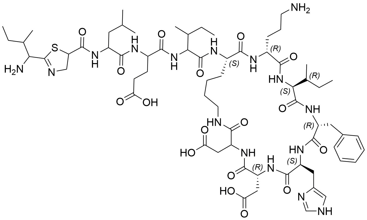 Bacitracin Xa