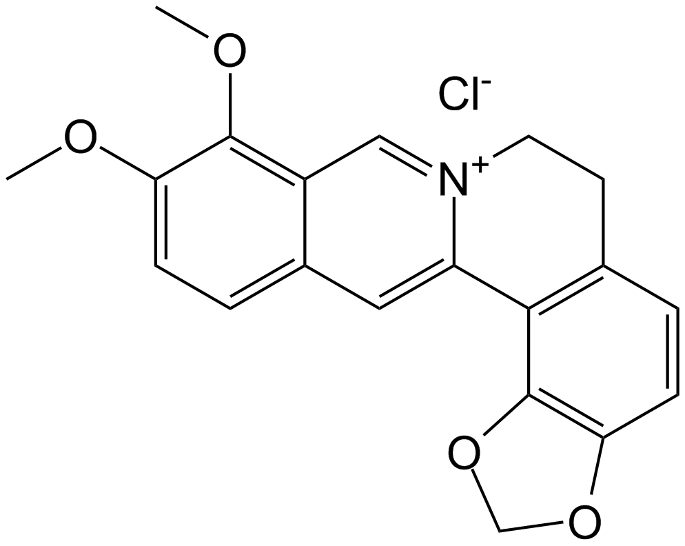 Berberine Impurity 5