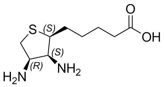 Biotin EP Impurity C