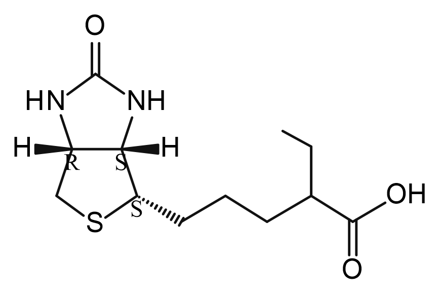 Biotin EP Impurity H