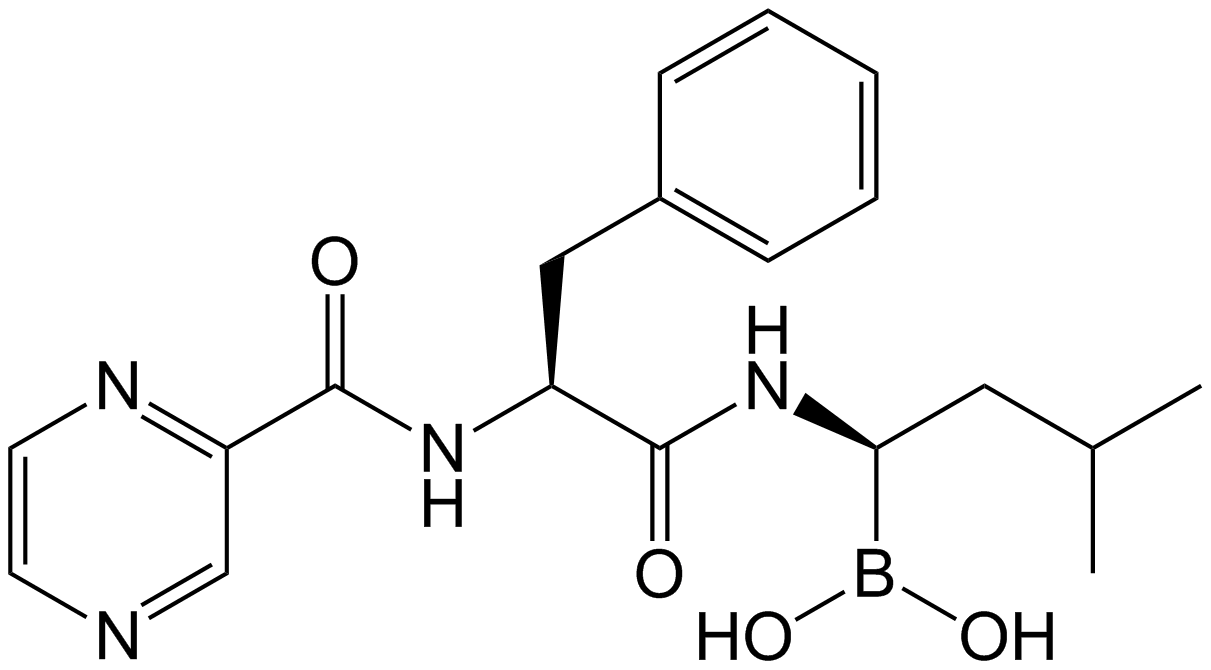 Bortezomib