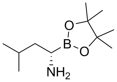 Bortezomib Impurity 40