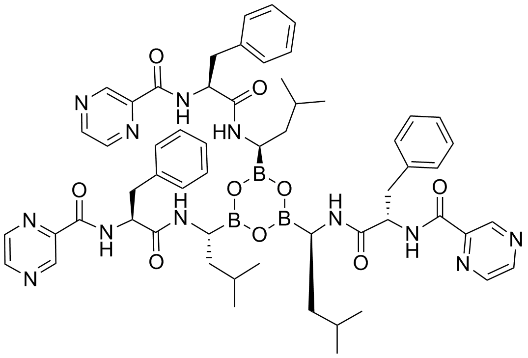 Bortezomib Impurity 56