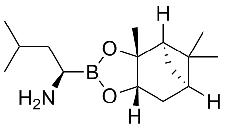 Bortezomib Impurity 62