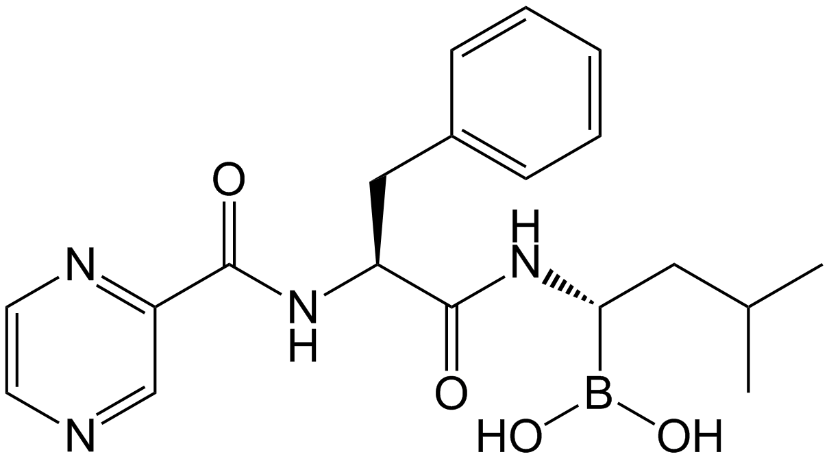 Bortezomib Impurity PS619