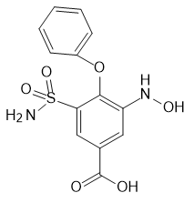 Bumetanide Impurity 37