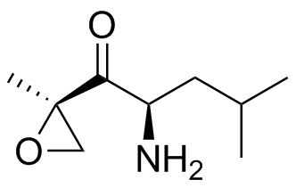 Carfilzomib Impurity D