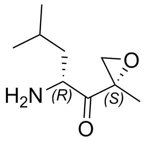 Carfilzomib Impurity G