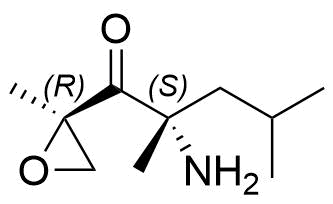 Carfilzomib Impurity 77