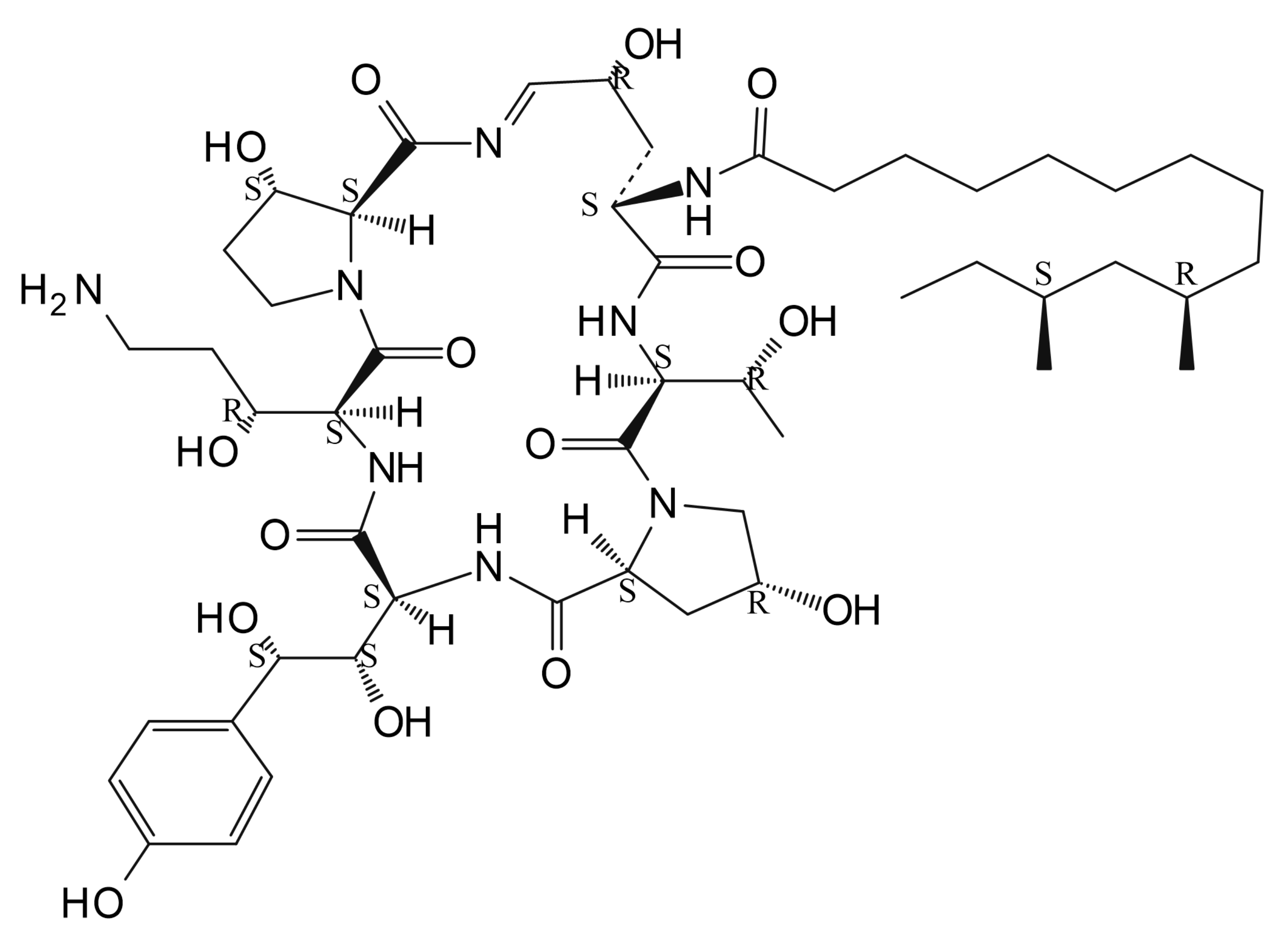 Caspofungin Impurity 2