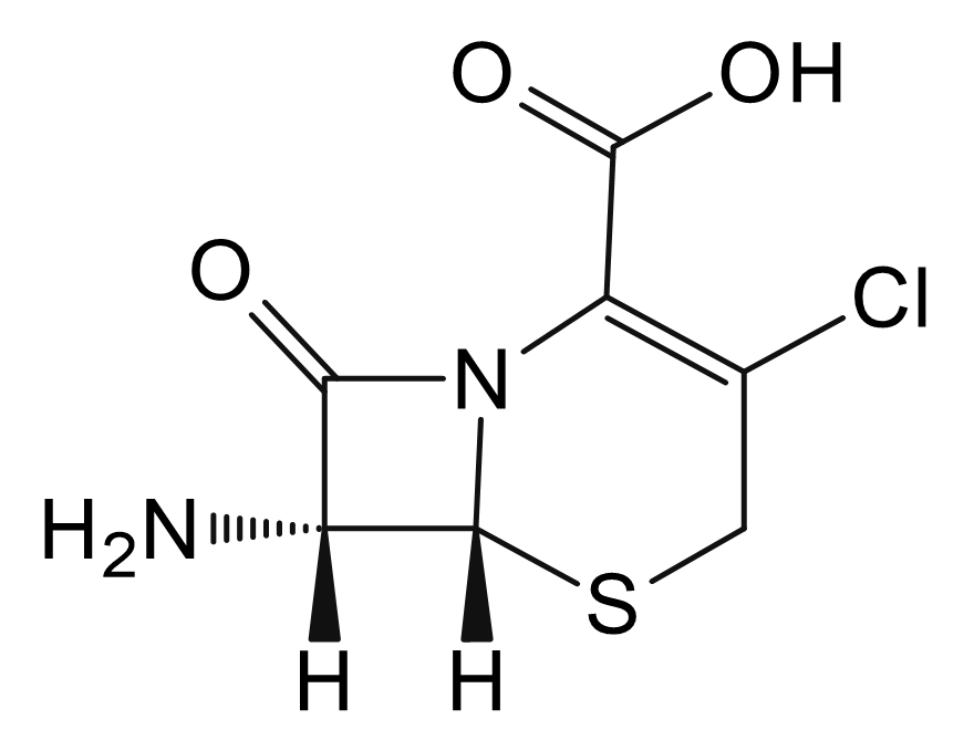 Cefaclor EP Impurity B