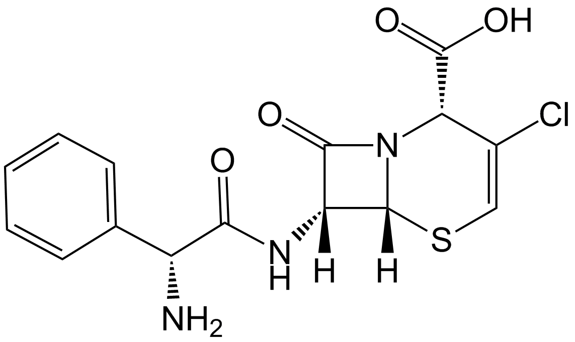 Cefaclor Impurity 8