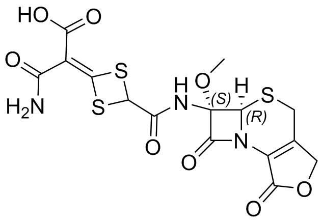 Cefotetan Lactone