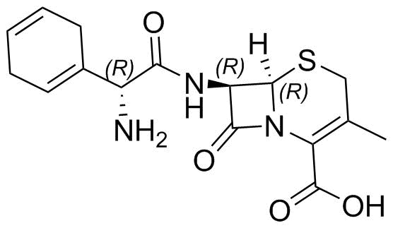 Cefradine