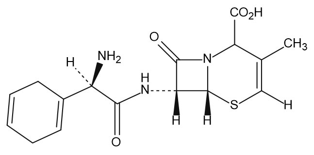 Cefradine Impurity 19