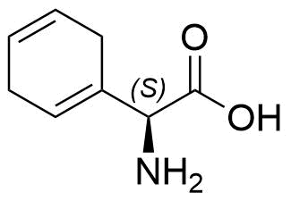 Cefradine Impurity 24