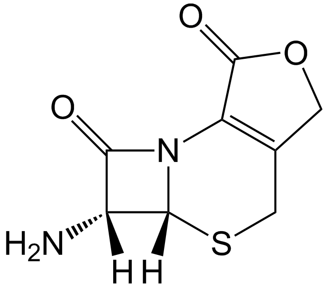 Cephalosporin Impurity B