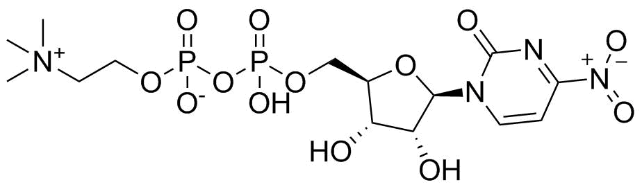 Citicoline Impurity 2