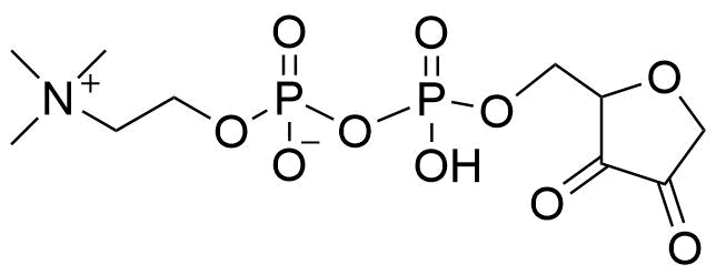 Citicoline Impurity 12