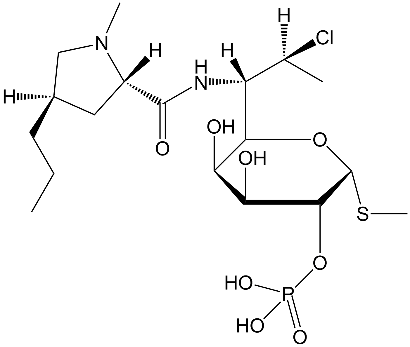 Clindamycin Phosphate