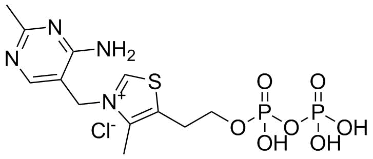 Cocarboxylase tetrahydrate