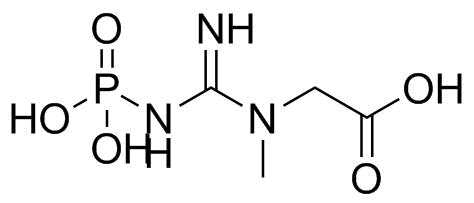 Creatine phosphate