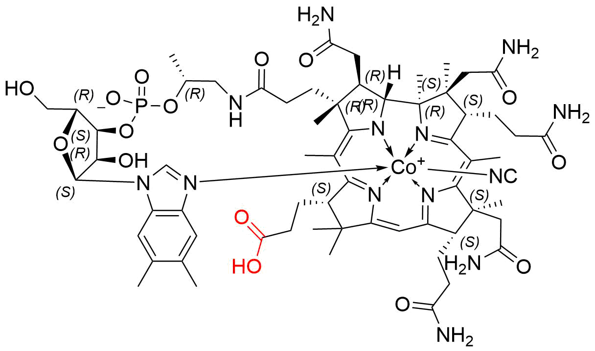 Cyanocobalamin EP Impurity B